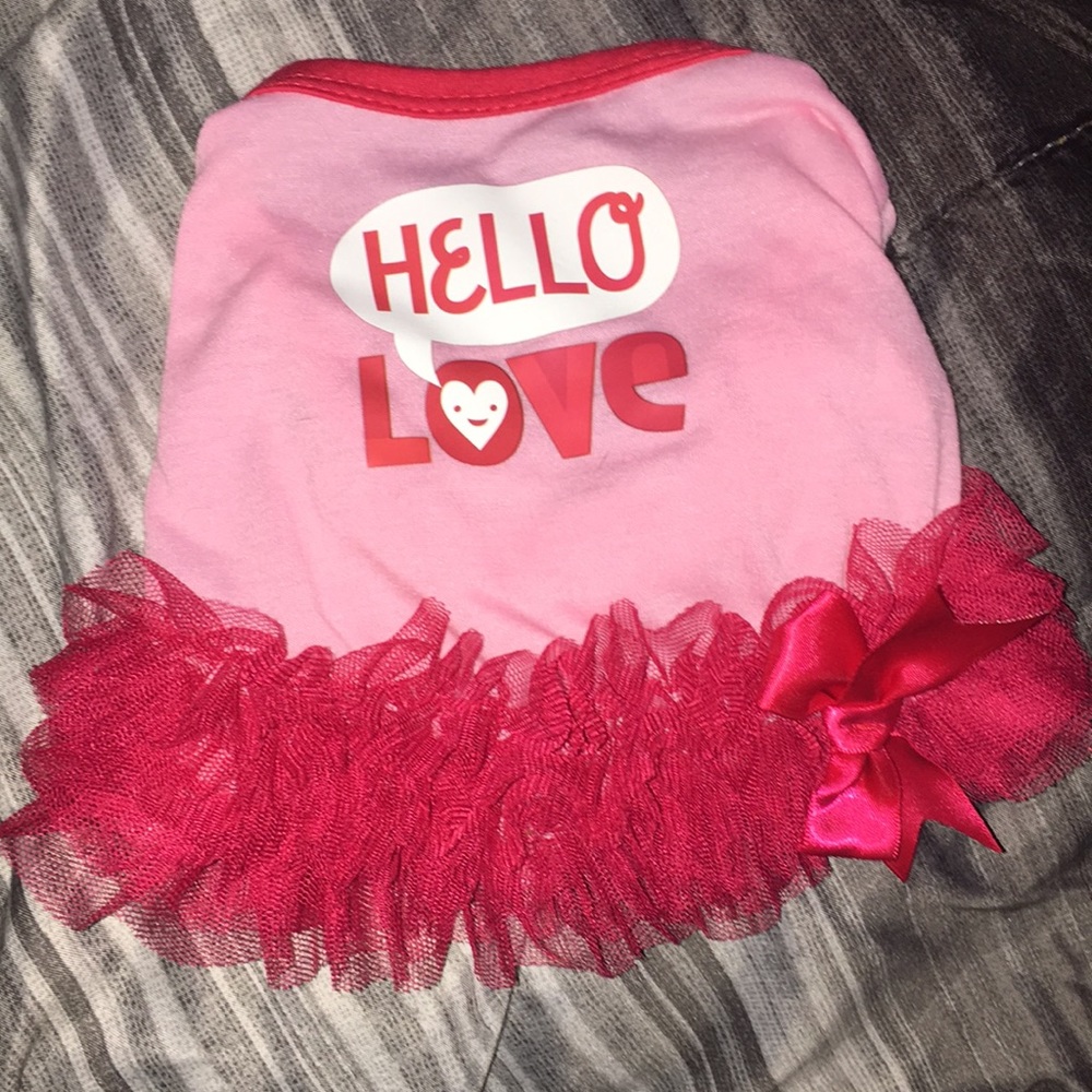 A small puppy dress